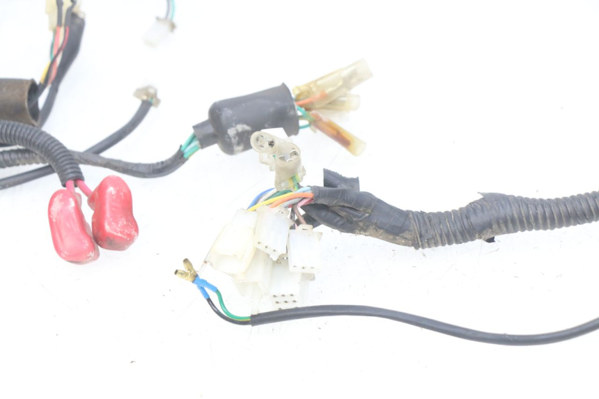 photo de CABLEADO TNT MOTOR OTTO 2T 50 (2012 - 2018) - Primer plano técnico