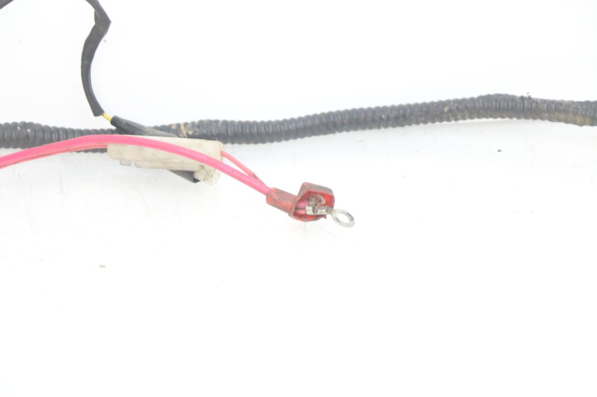 photo de CABLEADO TNT MOTOR OTTO 2T 50 (2012 - 2018) - Vista general del producto