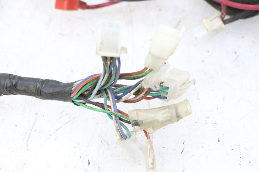 photo de CABLEADO IMF INDUSTRIE PACH 2T 50 (2009 - 2018)