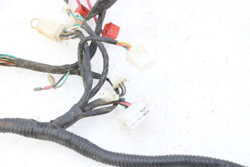 photo de CABLEADO IMF INDUSTRIE PACH 2T 50 (2009 - 2018)