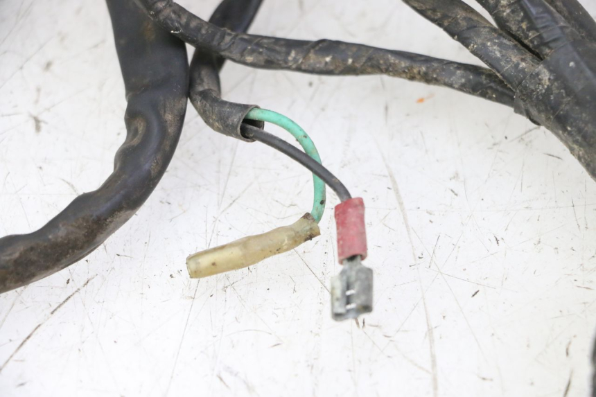 photo de CABLEADO IMF INDUSTRIE PACH 2T 50 (2009 - 2018)