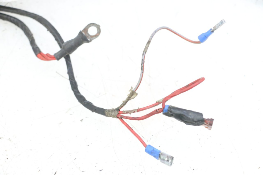 photo de CABLEADO PEUGEOT CITYSTAR 2T 50 (2018 - 2021)