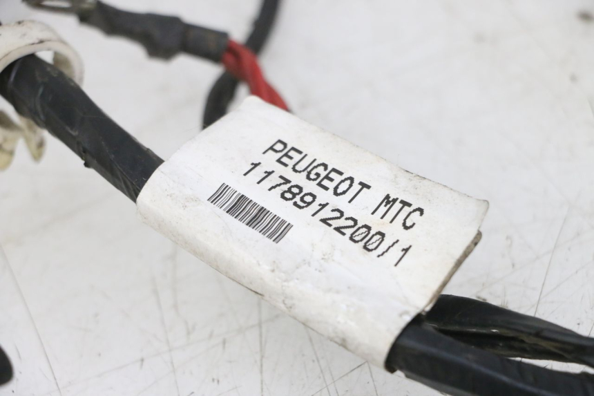 photo de CABLEADO PEUGEOT CITYSTAR 2T 50 (2018 - 2021)