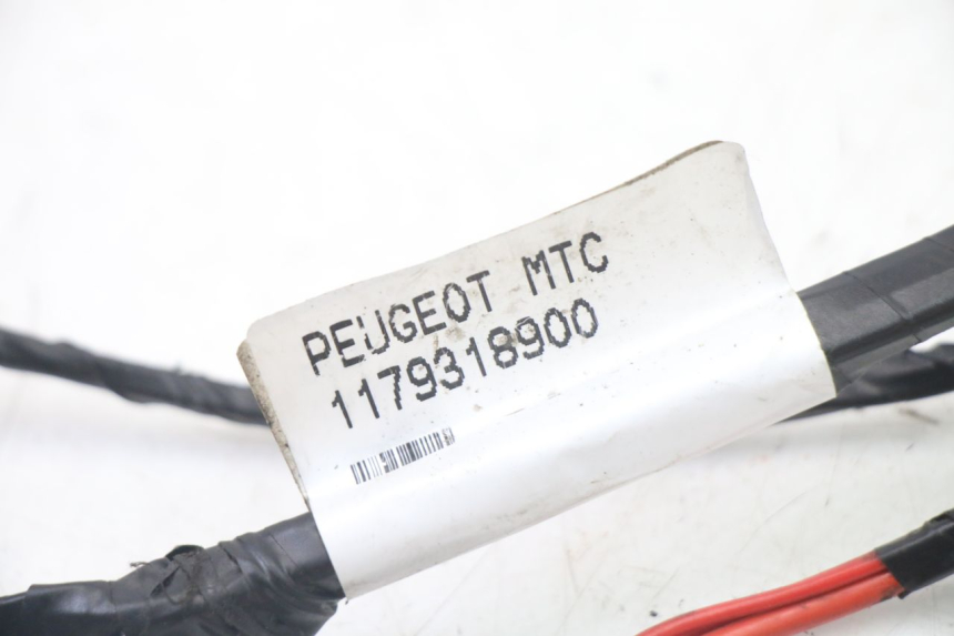 photo de CABLEADO PEUGEOT CITYSTAR 2T 50 (2018 - 2021)