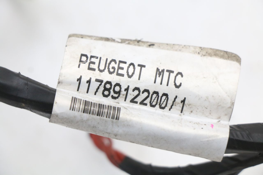 photo de CABLEADO PEUGEOT CITYSTAR 50 (2013 - 2017)