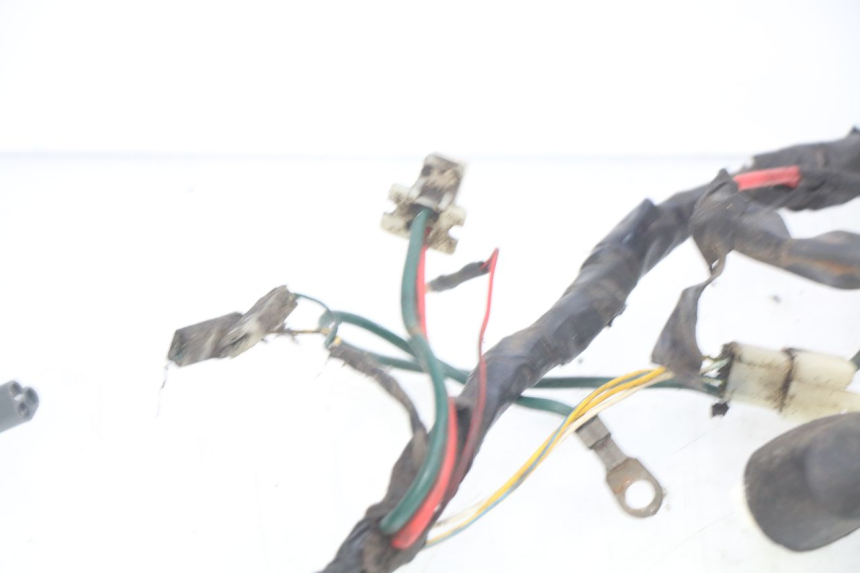 photo de CABLEADO PEUGEOT ELYSTAR 50 (2002 - 2014)