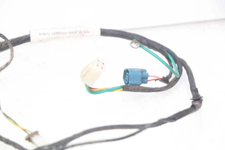 photo de CABLEADO PEUGEOT KISBEE 2T 50 (2010 - 2017)