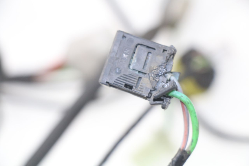 photo de CABLEADO PEUGEOT SATELIS 300 (2012 - 2015)