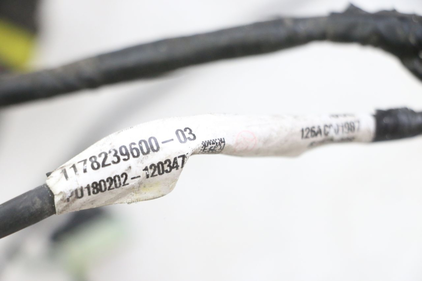 photo de CABLEADO PEUGEOT SATELIS 125 (2013 - 2018)