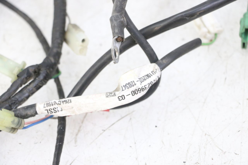 photo de CABLEADO PEUGEOT SATELIS 125 (2013 - 2018)