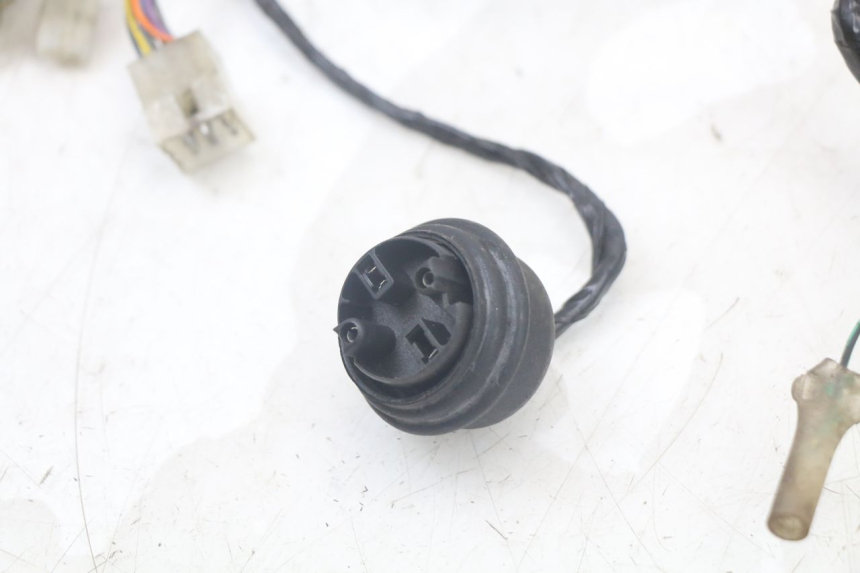 photo de CABLEADO PEUGEOT SPEEDFIGHT 100 (1997 - 2007)