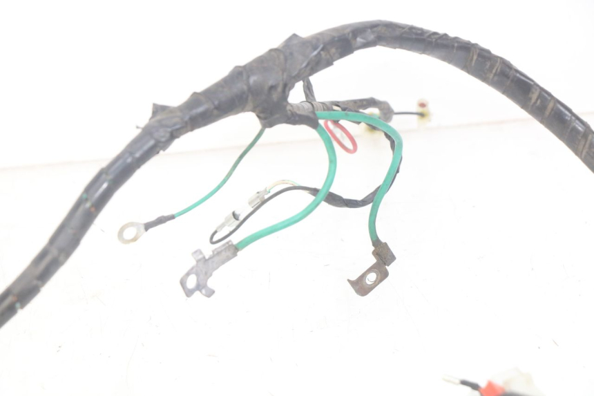 photo de CABLEADO PEUGEOT TWEET 4T 50 (2010 - 2014)