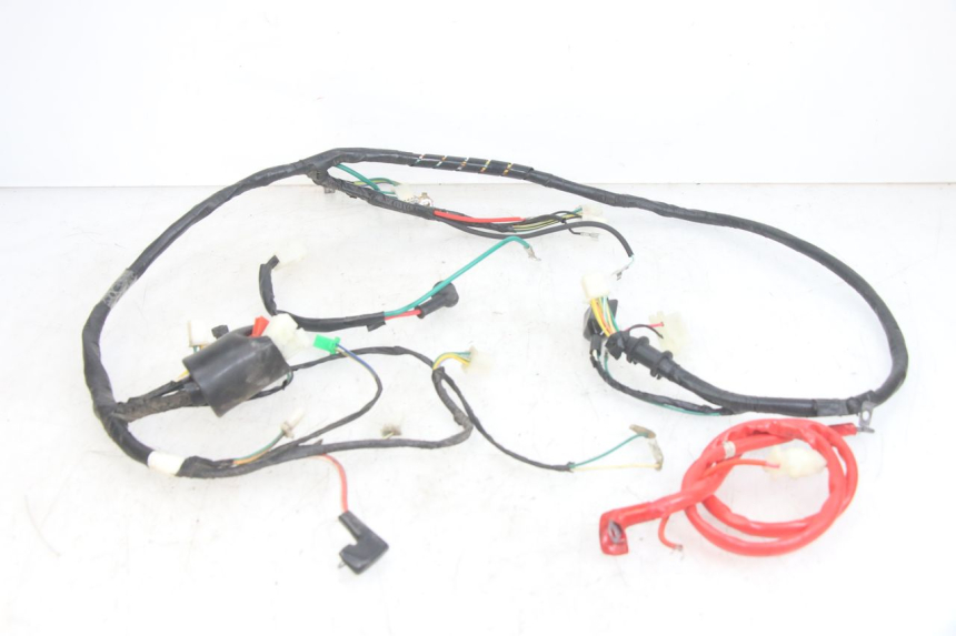 photo de CABLEADO PEUGEOT TWEET 4T 50 (2018 - 2020)