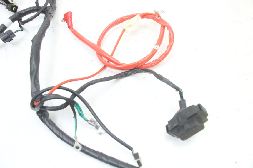 photo de CABLEADO PEUGEOT TWEET 4T 50 (2023 - 2025)