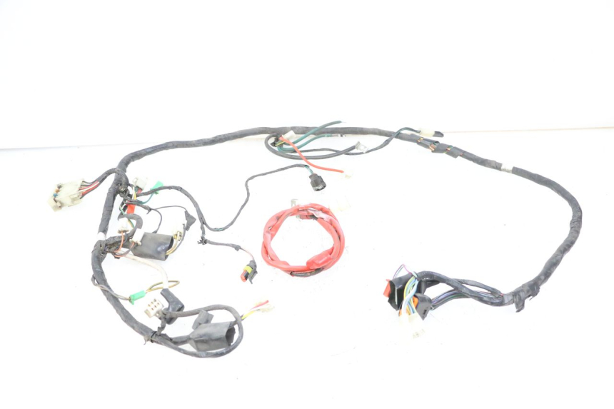 photo de CABLEADO PEUGEOT TWEET 4T 50 (2018 - 2020)