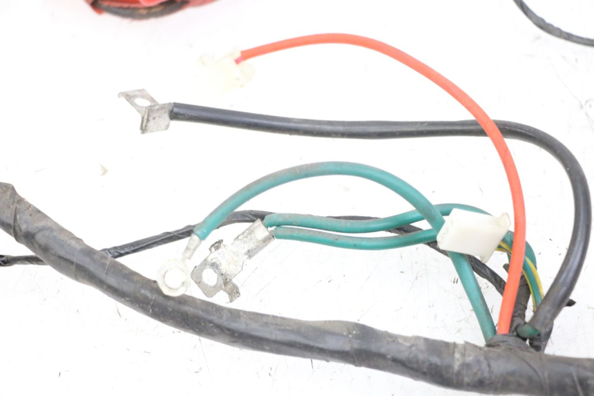 photo de CABLEADO PEUGEOT TWEET 4T 50 (2018 - 2020)