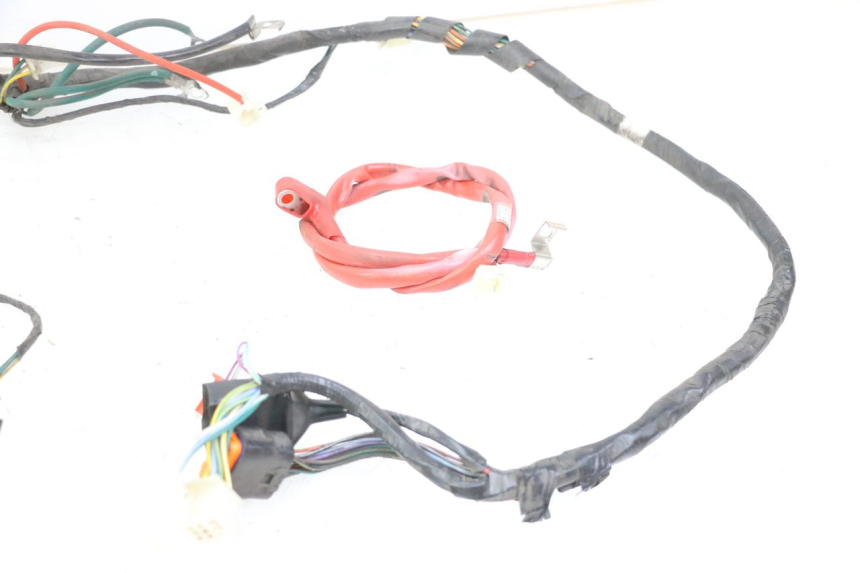 photo de CABLEADO PEUGEOT TWEET 4T 50 (2018 - 2020)
