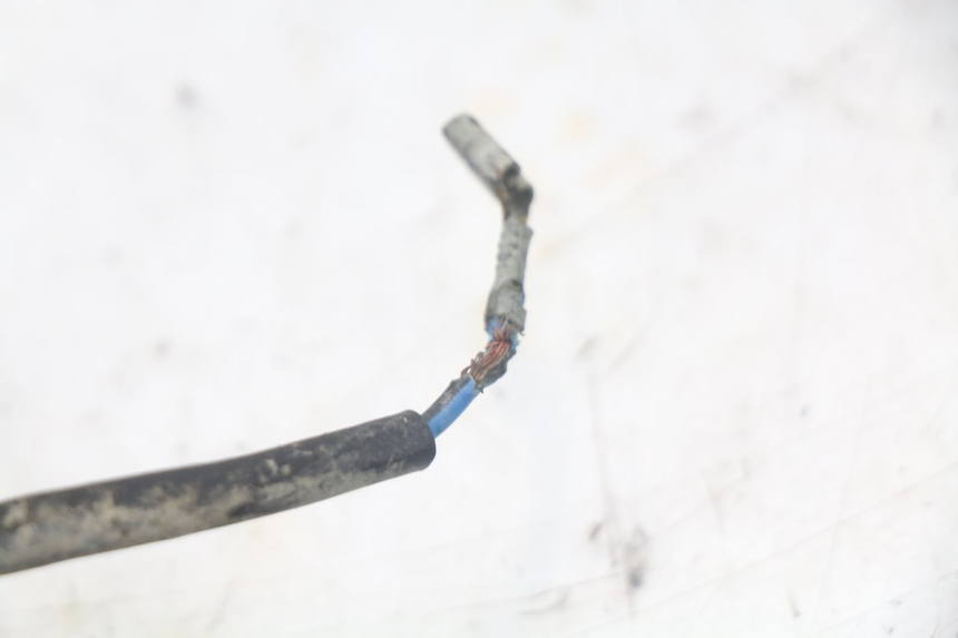 photo de CABLEADO PEUGEOT XP6 50 (1997 - 2003)