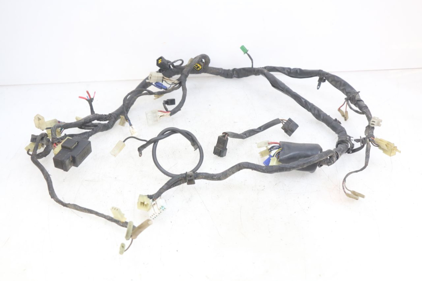 photo de CABLEADO DEL FARO YAMAHA YZF R THUNDERCAT 600 (1996 - 2003)