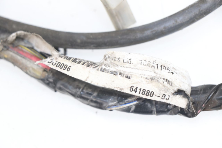 photo de CABLEADO PIAGGIO LIBERTY 4T 50 (2009 - 2015)