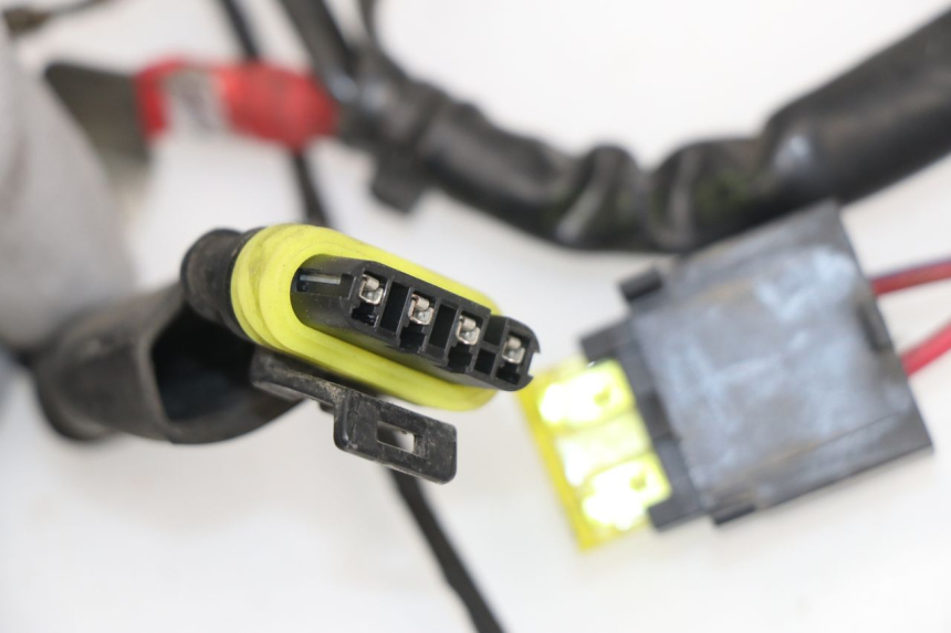 photo de CABLEADO PIAGGIO LIBERTY 4T 50 (2009 - 2015)