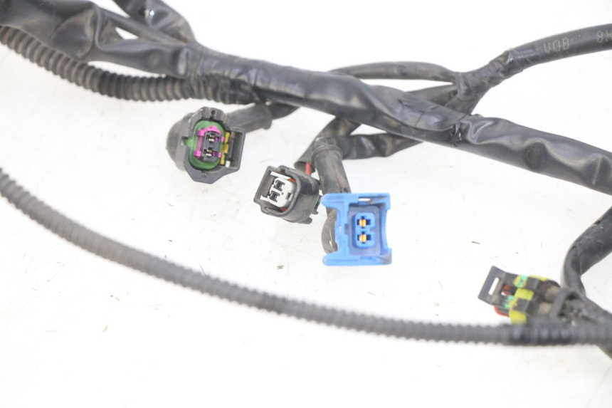 photo de CABLEADO PIAGGIO LIBERTY IGET 4T 50 (2015 - 2020)