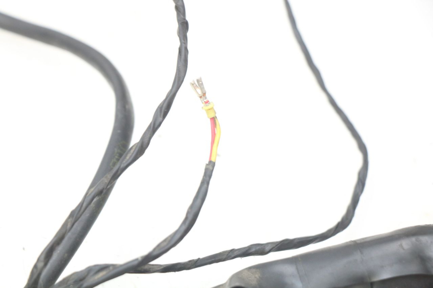 photo de CABLEADO PIAGGIO MP3 500 (2014 - 2016)