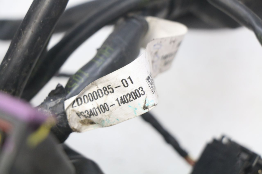 photo de CABLEADO PIAGGIO MP3 500 (2014 - 2016)