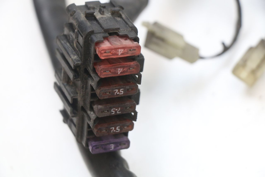 photo de CABLEADO PIAGGIO MP3 125 (2006 - 2014)