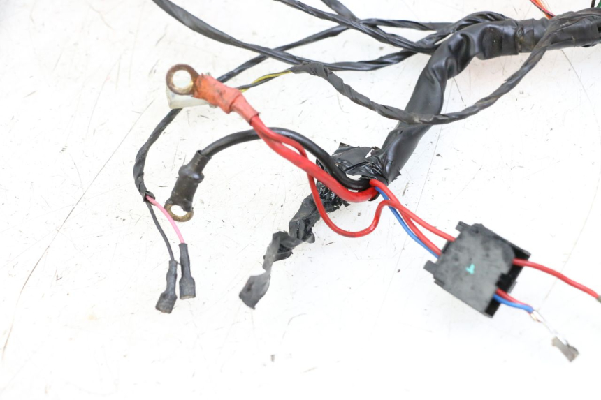 photo de CABLEADO PIAGGIO TYPHOON 50 (2000 - 2009)