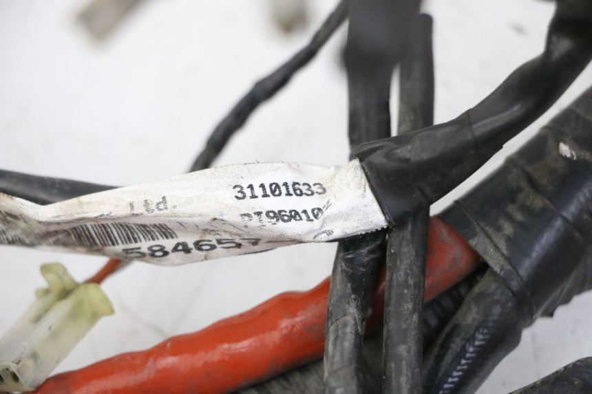 photo de CABLEADO PIAGGIO VESPA GRANTURISMO 200 (2004 - 2005)
