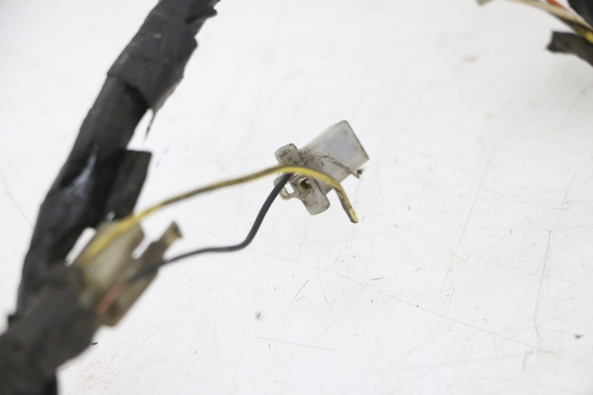 photo de CABLEADO PIAGGIO VESPA LX 2T 50 (2005 - 2013)