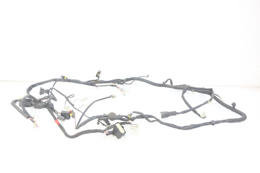 photo de CABLEADO PIAGGIO VESPA PRIMAVERA 2T 50 (2013 - 2018)