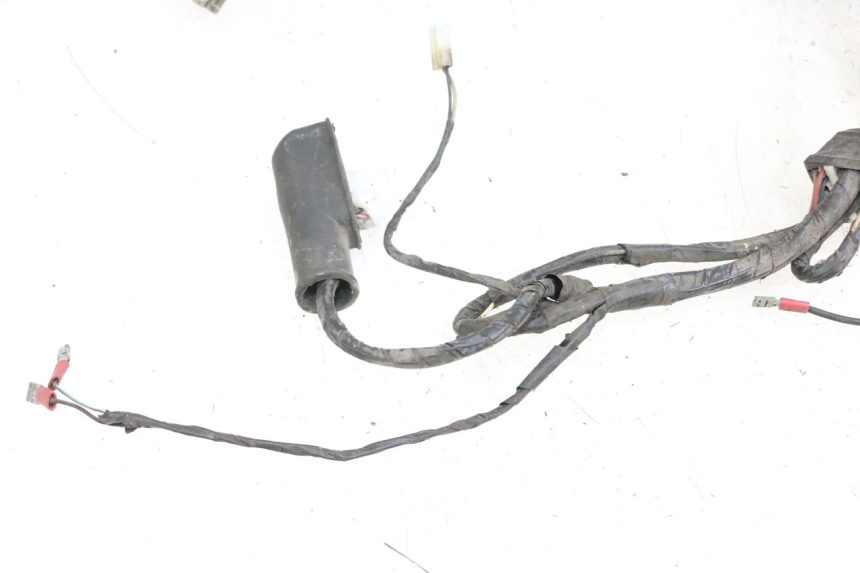 photo de CABLEADO PIAGGIO X9 125 (2000 - 2003)