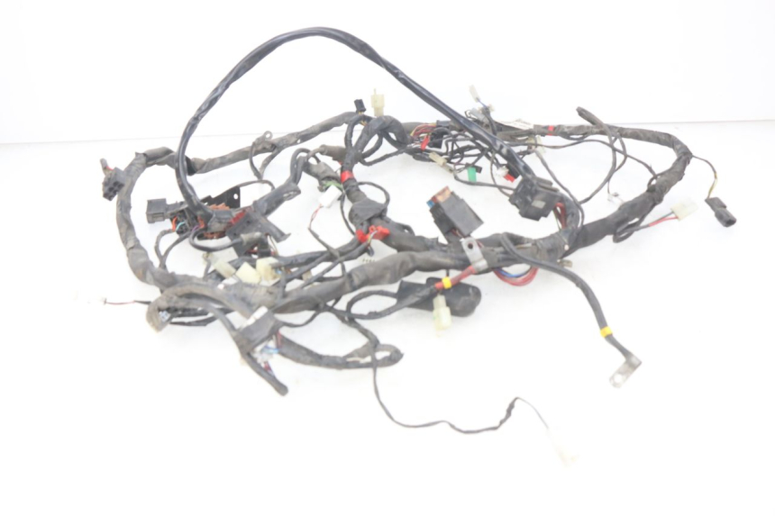 photo de CABLEADO PIAGGIO X9 EVOLUTION 125 (2003 - 2007)