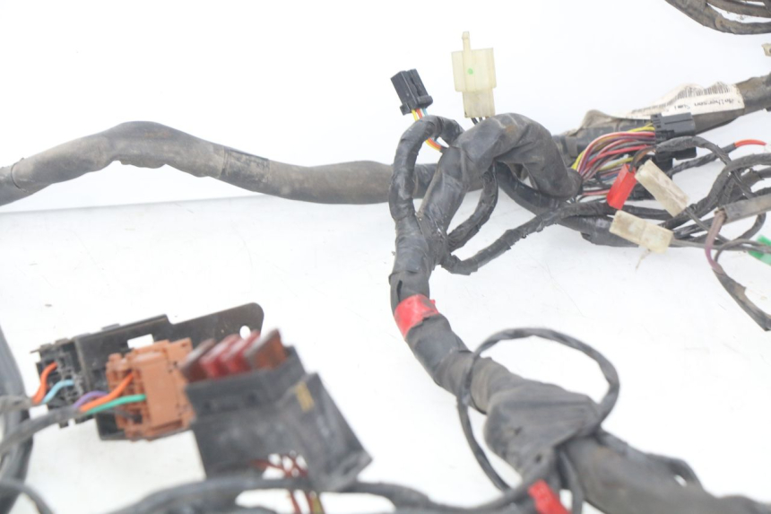 photo de CABLEADO PIAGGIO X9 EVOLUTION 125 (2003 - 2007)