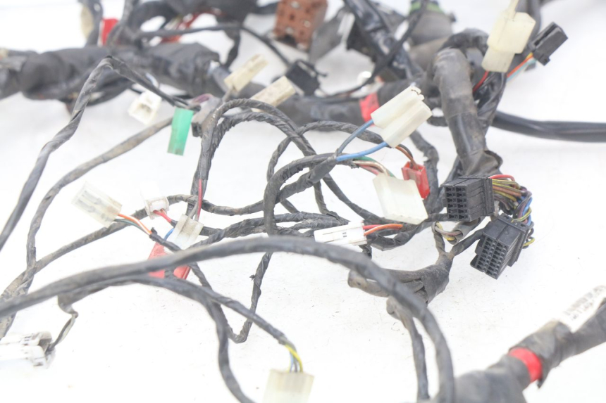 photo de CABLEADO PIAGGIO X9 EVOLUTION 125 (2003 - 2007)