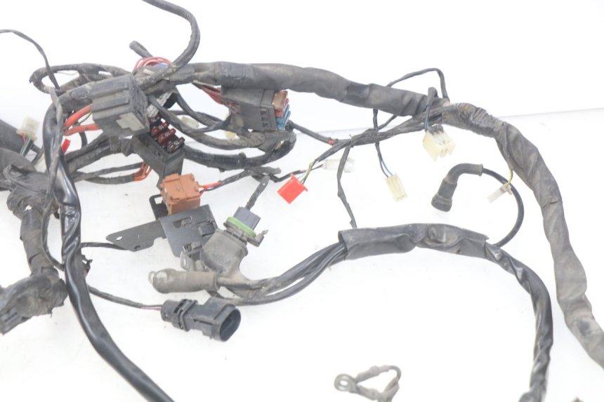 photo de CABLEADO PIAGGIO X9 EVOLUTION 125 (2003 - 2007)