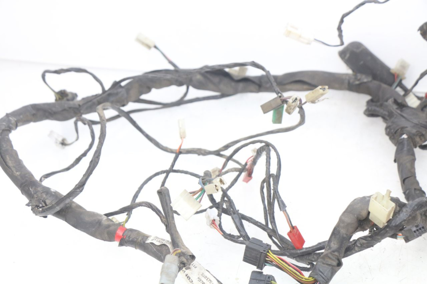 photo de CABLEADO PIAGGIO X9 EVOLUTION 125 (2003 - 2007)