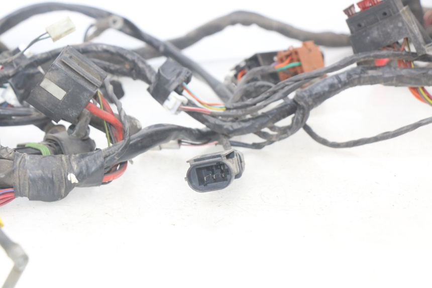 photo de CABLEADO PIAGGIO X9 EVOLUTION 125 (2003 - 2007)