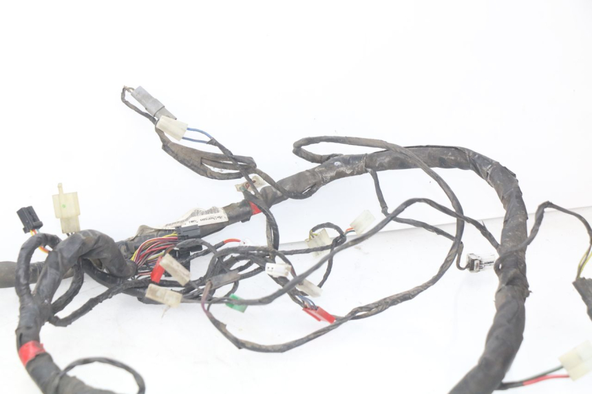 photo de CABLEADO PIAGGIO X9 EVOLUTION 125 (2003 - 2007)