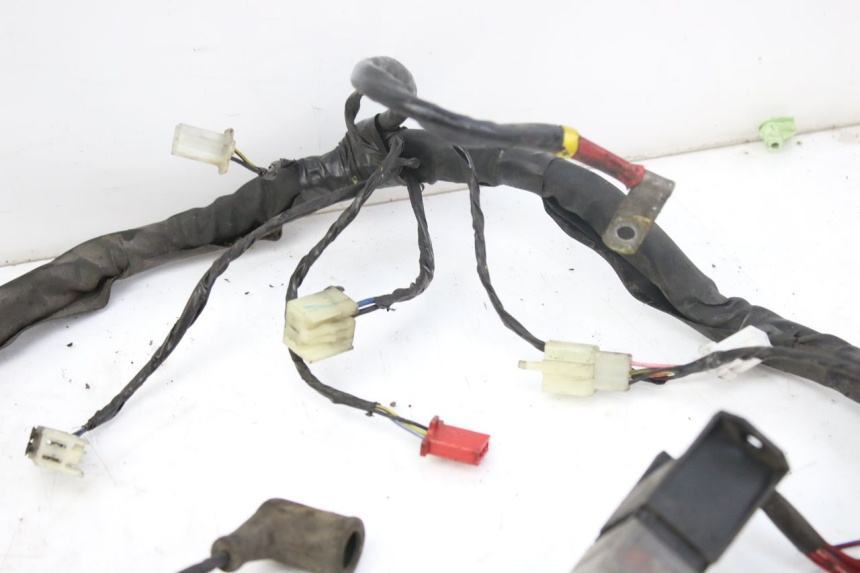 photo de CABLEADO PIAGGIO X9 EVOLUTION 250 (2003 - 2007)