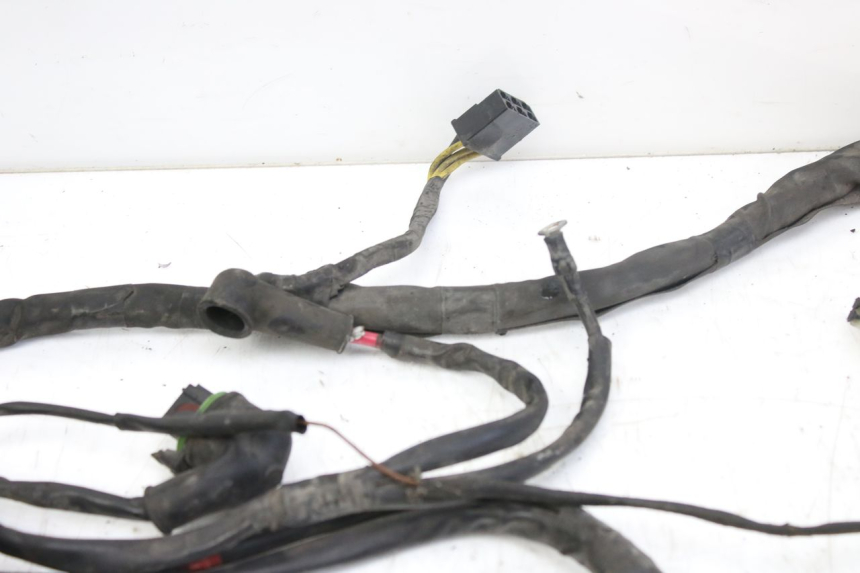 photo de CABLEADO PIAGGIO X9 EVOLUTION 250 (2003 - 2007)