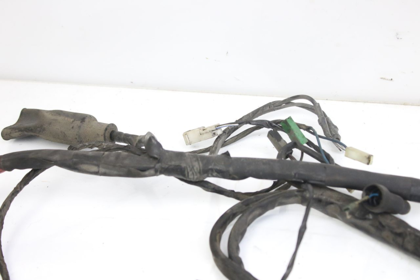 photo de CABLEADO PIAGGIO X9 EVOLUTION 250 (2003 - 2007)