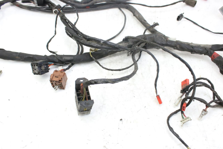 photo de CABLEADO PIAGGIO X9 EVOLUTION 250 (2003 - 2007)