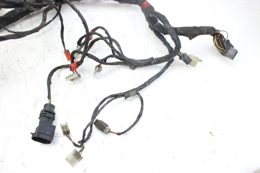 photo de CABLEADO PIAGGIO X9 EVOLUTION 250 (2003 - 2007)