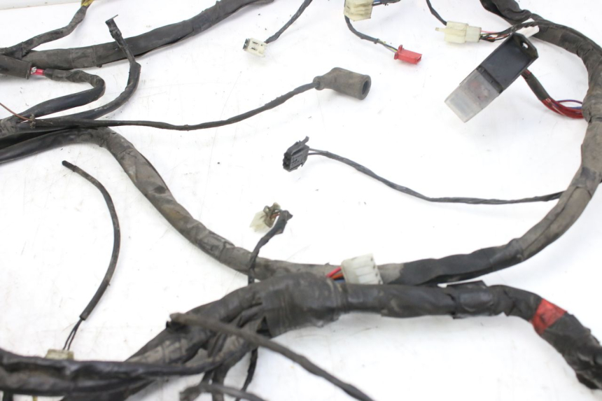 photo de CABLEADO PIAGGIO X9 EVOLUTION 250 (2003 - 2007)