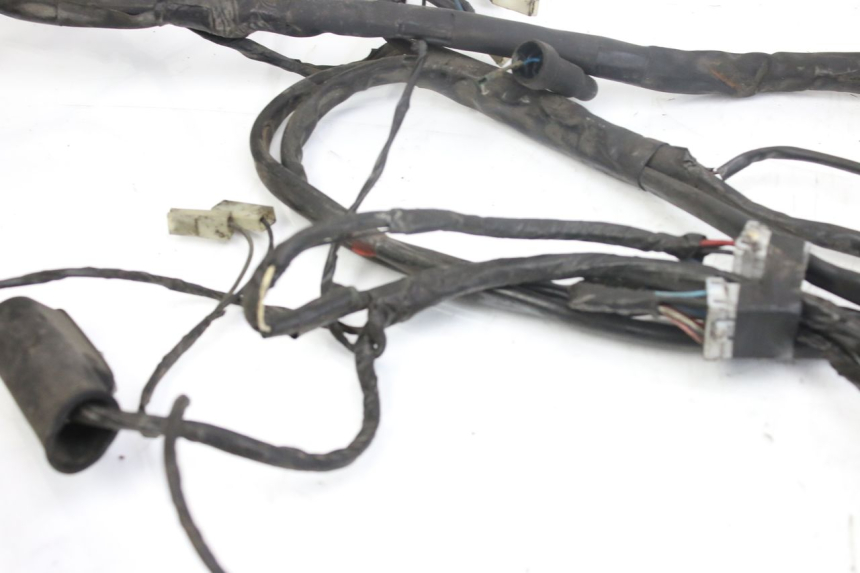 photo de CABLEADO PIAGGIO X9 EVOLUTION 250 (2003 - 2007)