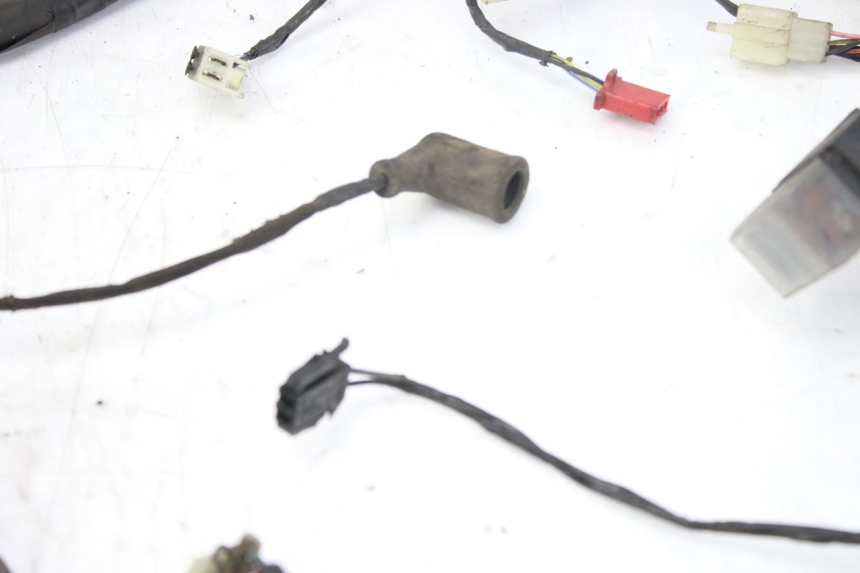 photo de CABLEADO PIAGGIO X9 EVOLUTION 250 (2003 - 2007)