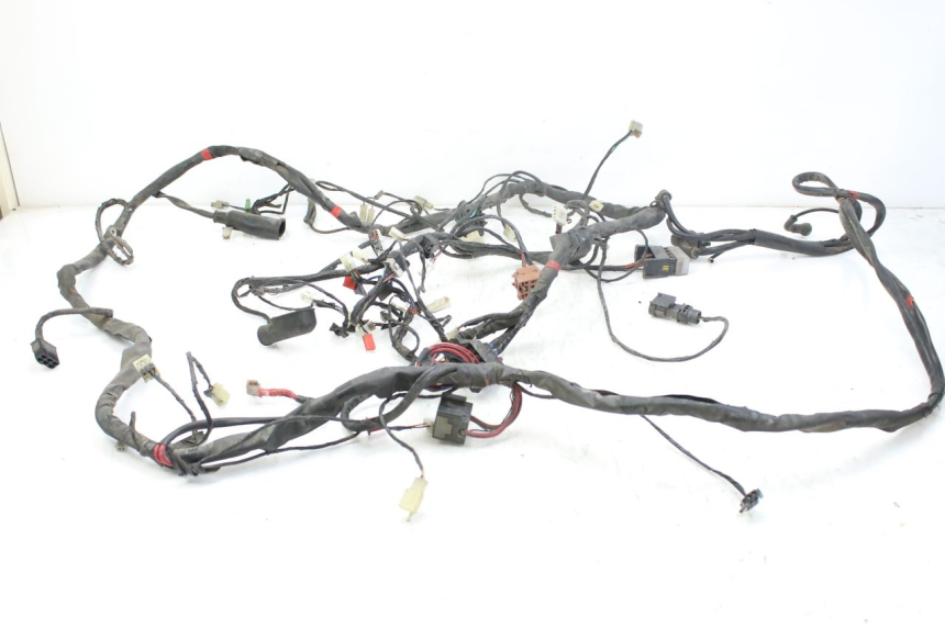 photo de CABLEADO PIAGGIO X9 EVOLUTION 125 (2003 - 2007)